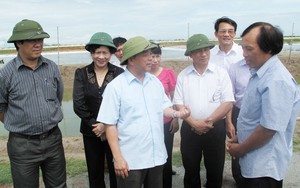 Chủ tịch T.Ư Hội NDVN Nguyễn Quốc Cường: Liên kết là giải pháp khả thi cho tiêu thụ nông sản