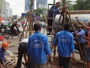 Chùm ảnh hàng cây lát hoa mới trồng trên đường Nguyễn Chí Thanh