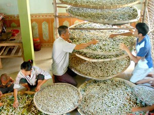 Cơ sở hạ tầng đồng bộ, hỗ trợ mô hình sản xuất mới, nông thôn Nam Giang ở Quảng Nam tốt hơn - Ảnh 11.