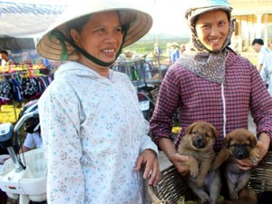 Núi Nga My ở đâu trên đất Nghệ An mà có khu rừng gỗ săng lẻ đẹp như phim, ai cũng muốn vô xem? - Ảnh 8.