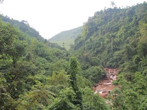 Sơn La: Phá rừng đặc dụng để xây dựng thủy điện mini