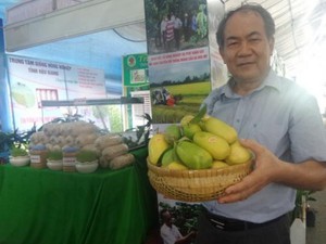 Nuôi chồn hương ở Hậu Giang, là động vật hoang dã chả có tên trong sách Đỏ, bán 15 triệu/cặp- Ảnh 5.