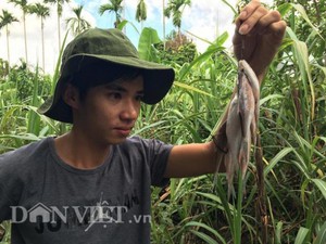 Theo chân người dân vùng cao đi &quot;săn&quot; đặc sản hạng sang: Cá niên