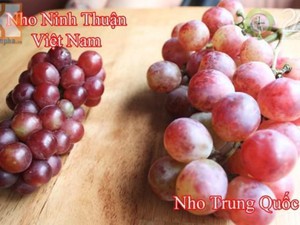 Lãnh đạo Cục Bảo vệ thực vật nói gì về thông tin nho sữa Trung Quốc bị phát hiện chất độc hại ở Thái Lan - Ảnh 8.