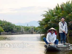 Quảng Ngãi: Cảnh báo việc phá rừng dừa nước làm nhà máy giấy