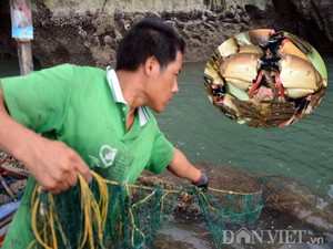 Đào khảo cổ ở TP Hạ Long phát lộ la liệt hiện vật cổ, có mũi giáo bằng đồng, có cả lưỡi câu đồng - Ảnh 5.