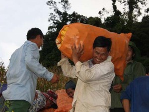 10kg ngô không mua nổi 1 bát phở, nông dân Sơn La điêu đứng