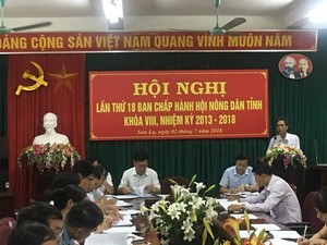 Sơn La: Nông dân được Hội cung ứng 6.000 tấn phân bón, 170 tấn giống