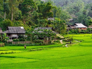 Lên Sơn La ngắm Vân Hồ - 'người con gái đẹp' vùng Tây Bắc