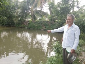 Ăn nên làm ra từ nuôi loài cá ăn rau là chính, chuyên để chiên sù