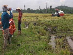 Bí thư Kỳ Anh trả lời về vụ nghi bảo kê máy gặt lúa