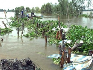 Bác tin vỡ đê ở Yên Bái, công an Bắc Giang xử lý một trường hợp đăng tin sai sự thật về vỡ đê - Ảnh 5.