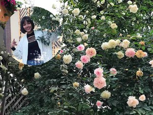 Vườn hồng vài nghìn gốc siêu quý 3.000m2 của hot girl 8x Thái Nguyên