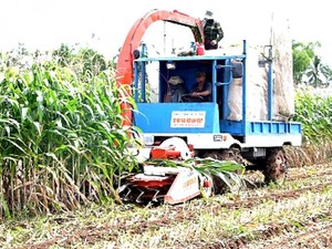 “Kỹ sư làng” chế tạo máy khiến nông dân bái phục ở An Giang