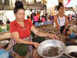 "Thâm nhập" chợ côn trùng - đặc sản núi rừng độc nhất đất Sơn La