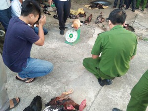 Quảng Nam: Bắt đối tượng trộm gà liên xã