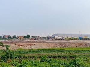 “Cò đất” lũng đoạn thị trường, Quảng Ninh tạm dừng việc đấu giá đất nền