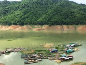 Mai Châu: Dân dư dả nhờ nuôi cá lồng giữa lòng hồ sông Đà