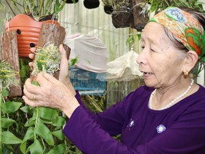 "Lão bà bà" 81 tuổi làm vườn lan tiền tỷ "khủng" nhất tỉnh Lai Châu