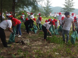 Bạn trẻ "đội nắng" vớt bèo dạt vào bờ biển Đà Nẵng sau bão số 4- Ảnh 16.