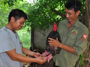 Clip: Siêu trang trại la liệt con đặc sản siêu "độc" ở Ninh Bình