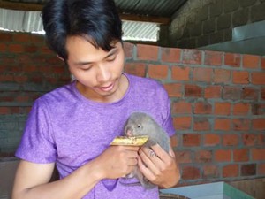 Đắk Lắk: Chăm con vật nhìn qua ngỡ chuột cống, nuôi không kịp bán