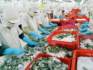 Tin vui: Thuế chống bán phá giá tôm về 0%, 31 công ty hưởng lợi