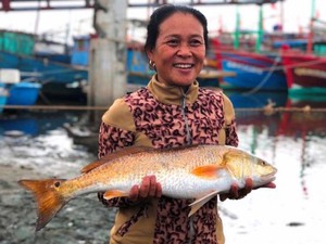 Quảng Bình: Bắt được 2 con cá lạ trên sông Loan, giá hơn 1 tỷ đồng