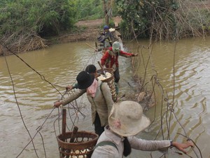 "Trạm thu phí" 5 nghìn đồng ở những cây cầu ván gỗ, buộc dây thép