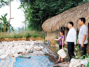 Nông thôn mới Hà Giang: Quang Bình làng quê khởi sắc