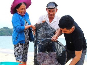 Nông dân sáng chế máy cày lên luống làm nhanh gấp 5 lần thủ công, cả làng ở Bình Định phục sát đất - Ảnh 4.