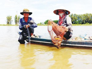 An Giang: Lũ lai rai, nước tràn đồng, dân &quot;bấp bênh&quot; bắt cá tôm