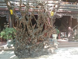 Bộ rễ gỗ trai "cực khủng" tiền tỷ quý hiếm của ông chủ thầu Hà Tĩnh