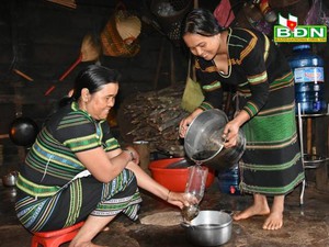 Đắk Nông: Chặt cây chuối rừng đốt thành than làm món ăn quên sầu