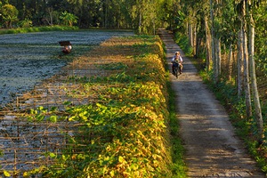 Sẽ hoàn thành quy hoạch nông thôn mới trong năm 2013