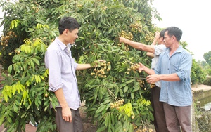 Hội Nông Dân Hưng Yên: “Ba thêm” với  Câu lạc bộ Làm vườn