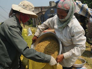 Kỷ niệm ngày lương thực thế giới 16.10: Phá vỡ vòng xoáy đói nghèo