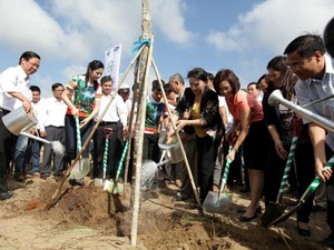 Quỹ 1 triệu cây xanh trồng cây tại khu di tích đường Hồ Chí Minh trên biển