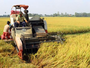 “Tích tụ ruộng đất -  đừng để vừa làm vừa băn khoăn”