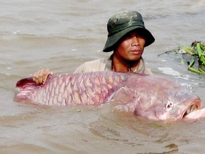 Vô vùng núi này ở Bình Phước nghe chuyện sợ nổi gai ốc, hết hồn-chuyện rắn thành tinh nuốt sơn nữ - Ảnh 7.