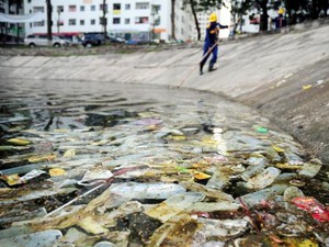 Bao cao su ngập hồ Linh Đàm: Đề nghị cảnh sát môi trường điều tra