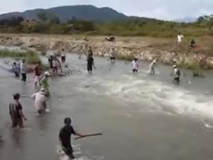 Bình Thuận: Dân đổ xô đi bắt cá bay từng đàn như trong phim
