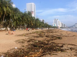 Sau bão, bãi biển Nha Trang ngập rác