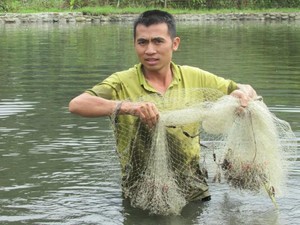 Làm giàu ở nông thôn: 5 tháng ương cá giống, có tiền tiêu cả năm