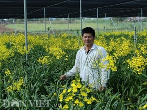 Giảng viên về vườn &quot;nghịch đất&quot; trồng lan Vũ nữ, lãi 50 triệu/tháng