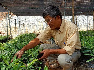 Làm giàu khác người: Chuyện về “ông trùm" cây "tỷ đô” ở  xứ Lạng