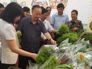 5 năm tái cơ cấu nông nghiệp Hà Nội: Nhiều mô hình thu nhập tiền tỷ