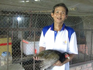 Thầy giáo nghèo đổi đời nhờ nuôi chim quý hiếm như nuôi gà