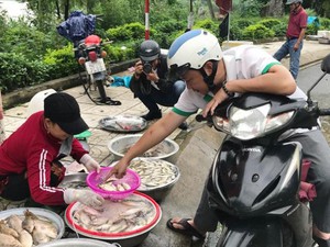Quảng Ngãi: Tấp nập chợ cá đồng đầu mùa lũ bên cầu Trà Khúc