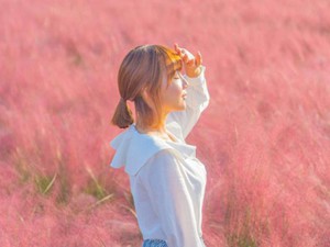 Cánh đồng cỏ hồng ở Hàn Quốc khiến Thúy Vân mê mẩn 'sống ảo'